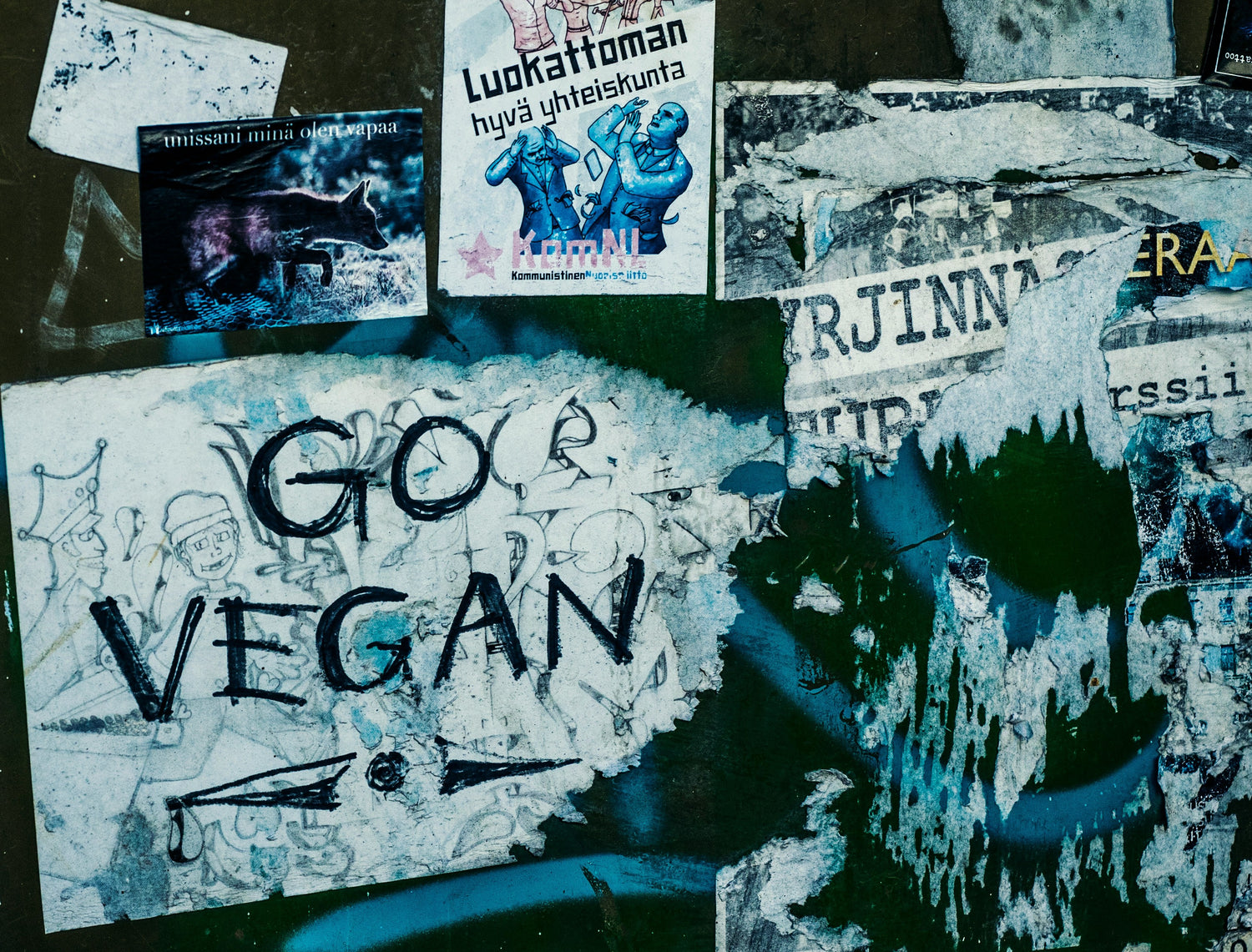 Vegan Products