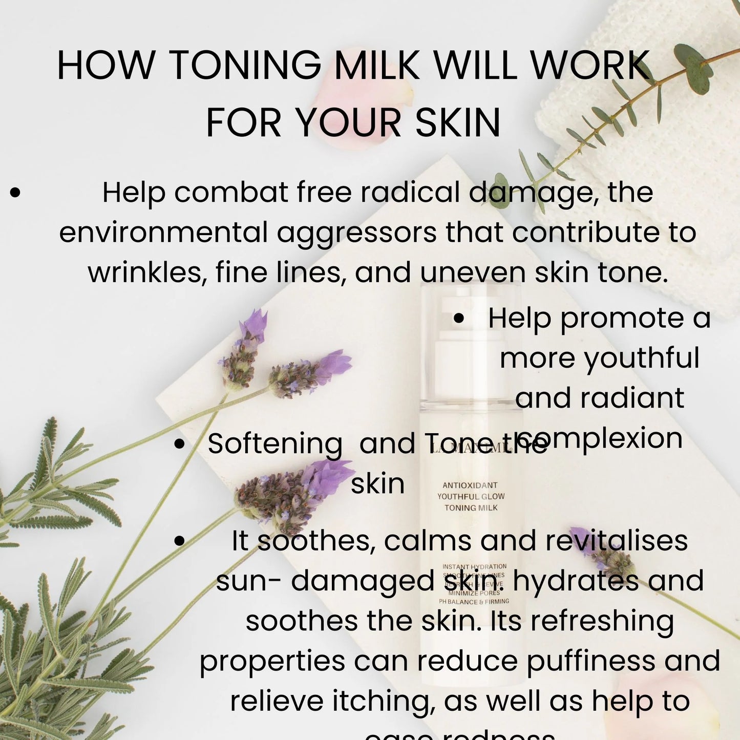 Antioxidant Youthful Glow Toning Milk 80ml